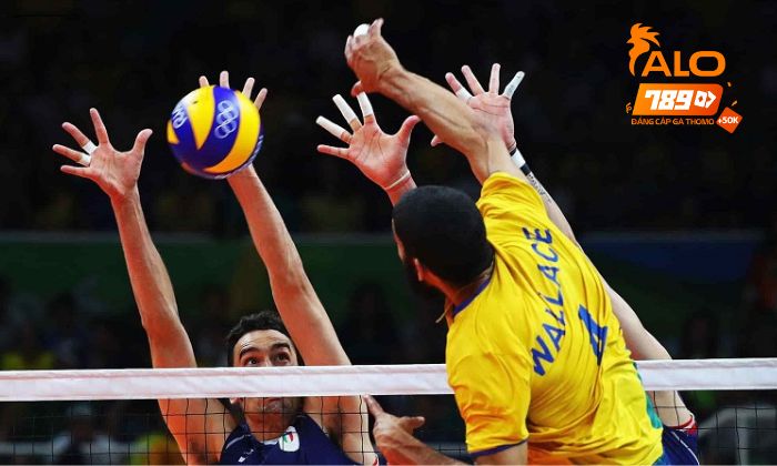 Giới thiệu cá cược bóng chuyền tại Thể Thao ALO789