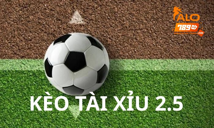 Giới thiệu kèo Tài Xỉu 2.5 trong cá cược bóng đá
