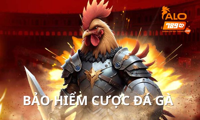 Khuyến mãi Bảo Hiểm Cược Đá Gà ALO789