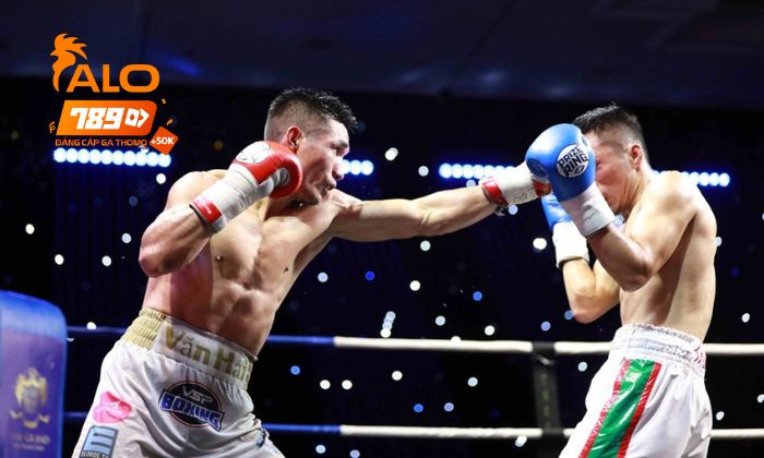 Luật chơi cá cược Boxing online tại ALO789