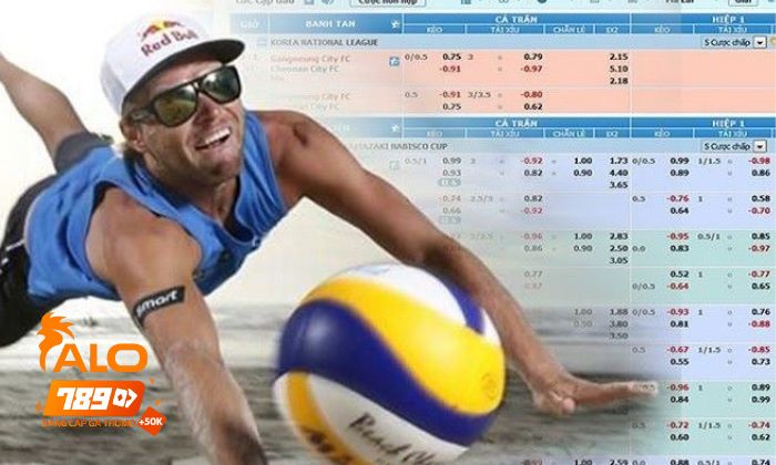 Luật chơi cá cược bóng chuyền tại Thể Thao ALO789